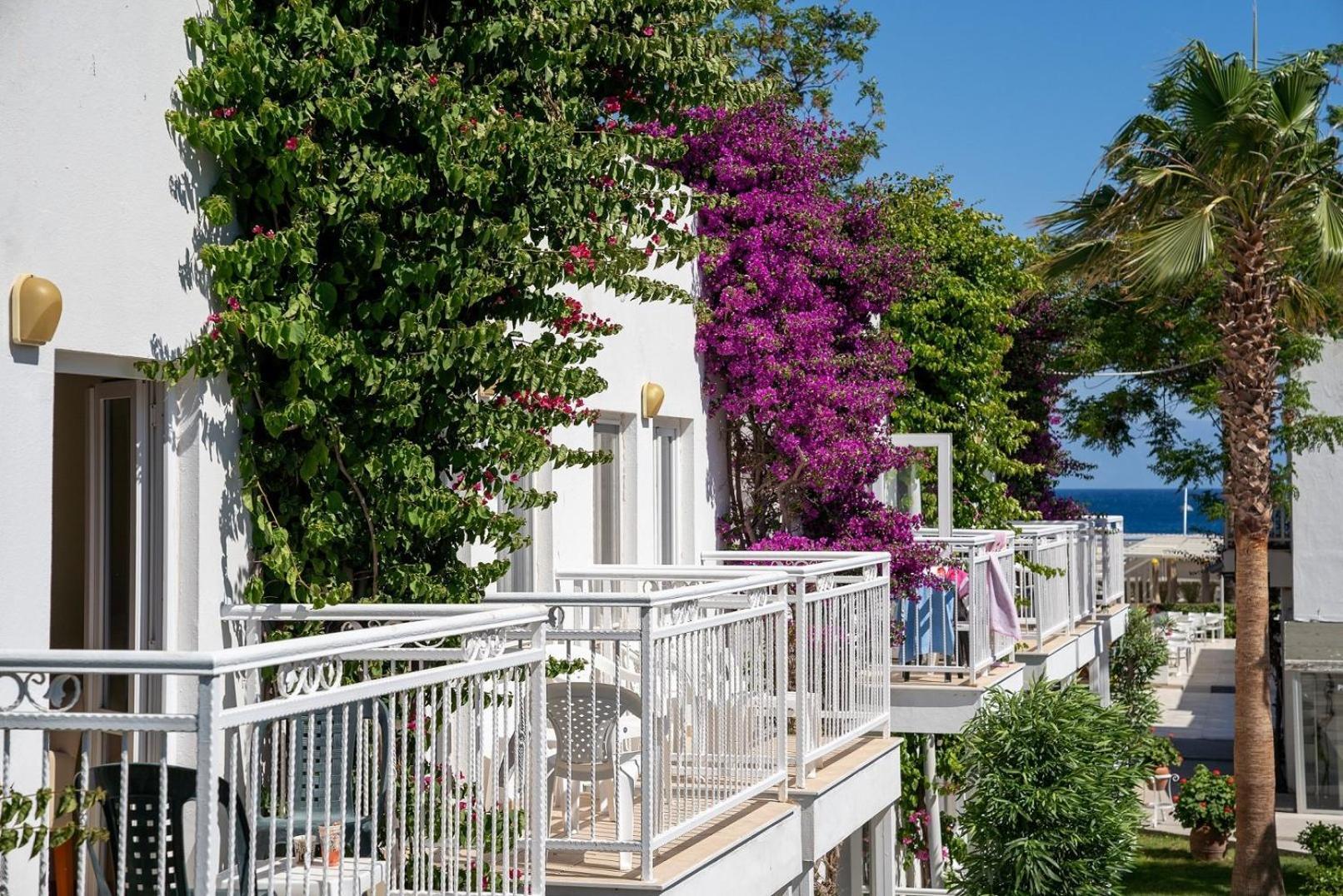 Petunya Beach Resort Ortakent Luaran gambar